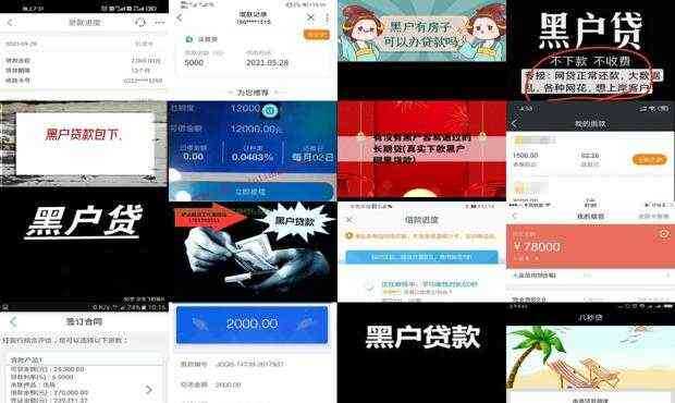 黑户宝藏探秘，小巷中的风险与风情体验