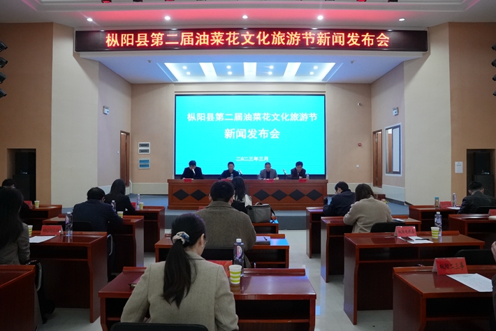 最新枞阳新闻动态更新