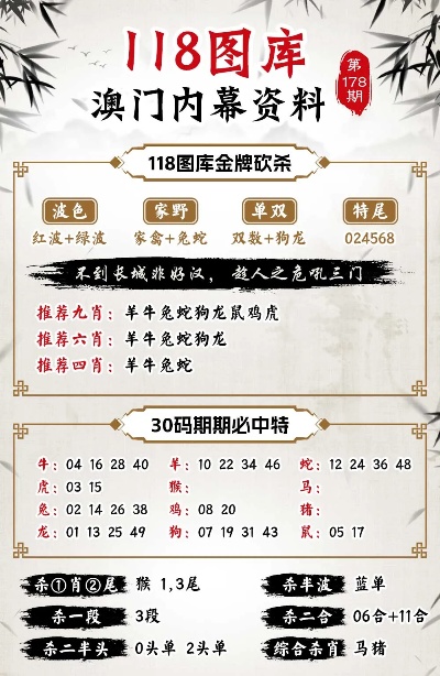 2024澳门最精准正版免费大全,决策支持方案_毛坯版47.788