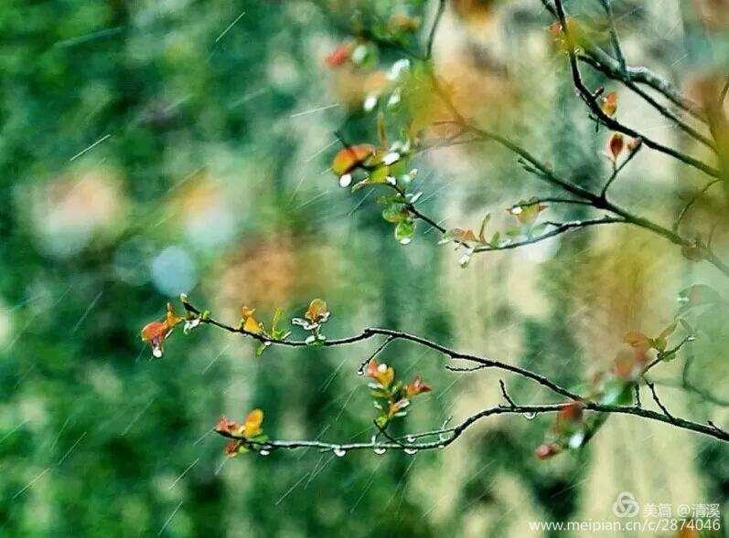 青花燃最新攻略，任务完成与技能学习详细步骤指南