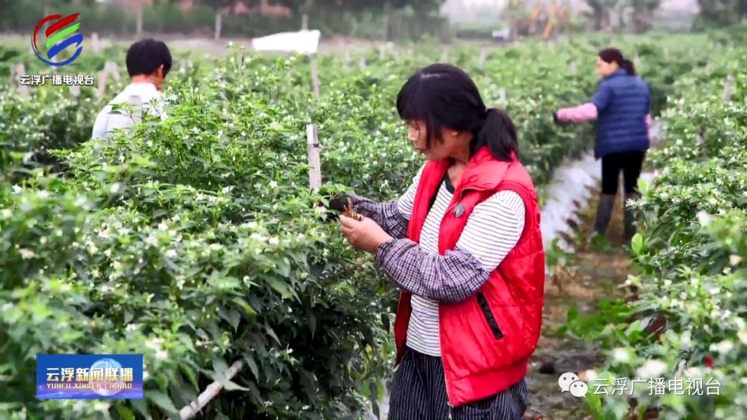 罗镜镇最新动态，变化中的力量与学习自信的旋律