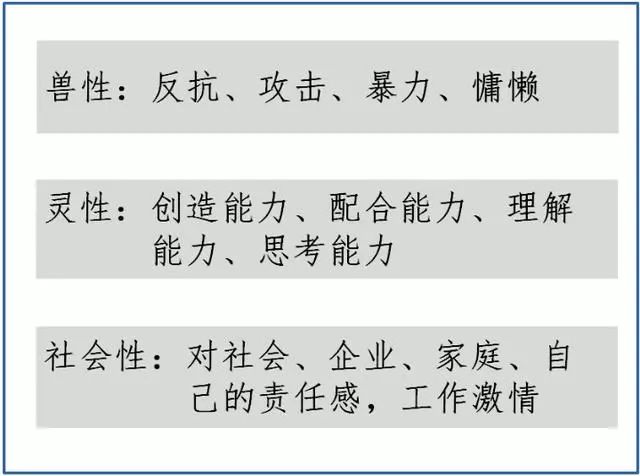 澳门今晚一肖必中特,定量解析解释法_荣耀版38.156