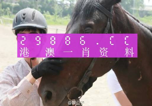 澳门一肖一码一必中一肖,专家解说解释定义_工具版79.134