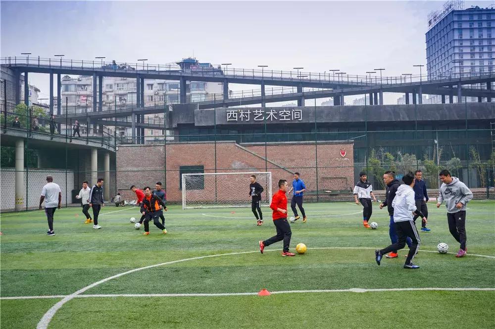 明星属马的