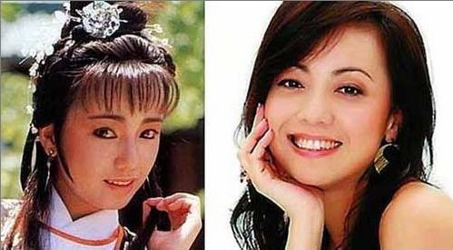 TVB老女演员的魅力与演艺生涯影响回顾