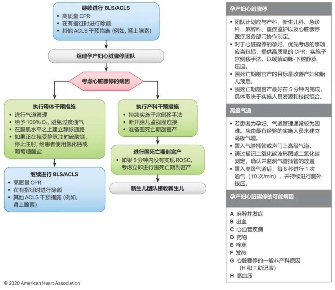 关于心肺复苏最新指南的深度解读与探讨（2025版）