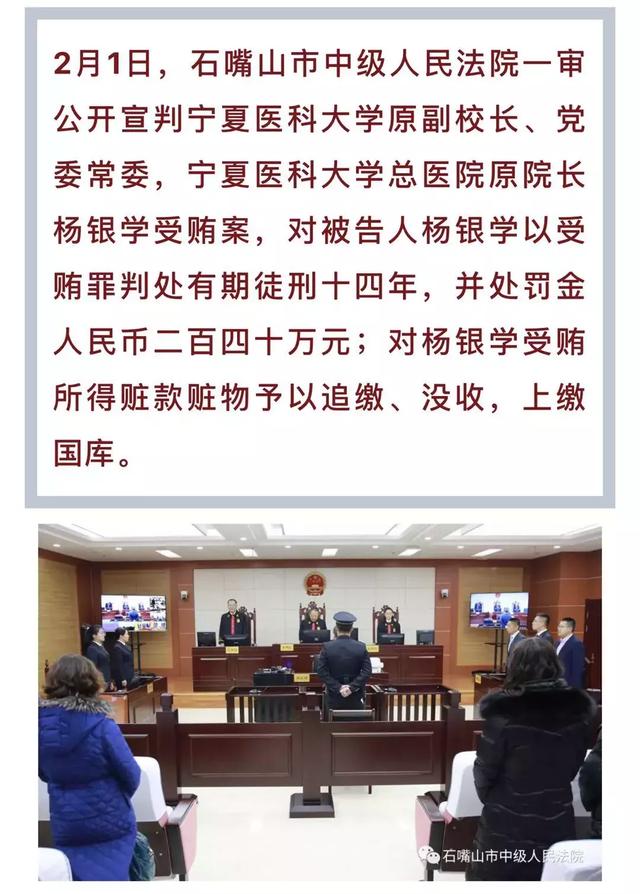 杨银学最新动态，自然美景的探索之旅
