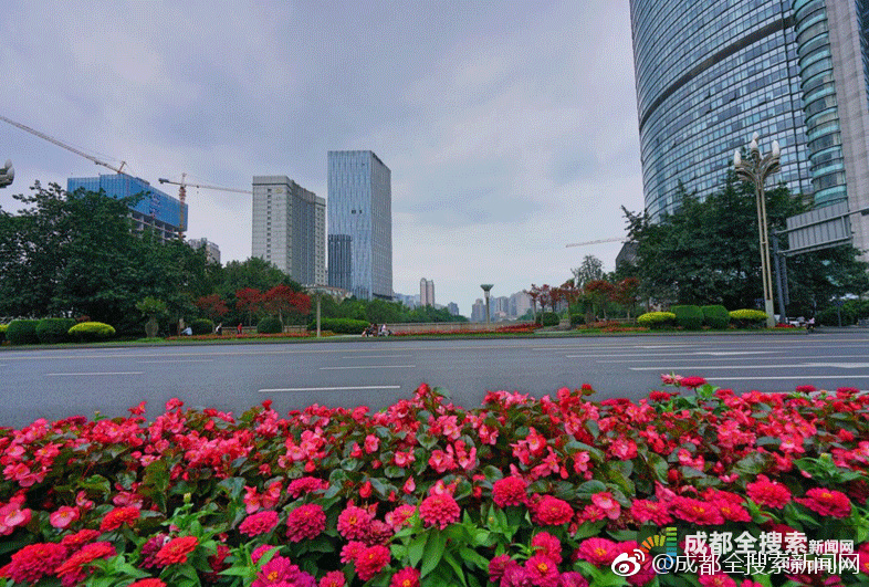 北京飞艇最新微信群，学习、变化与自信的飞跃之旅平台