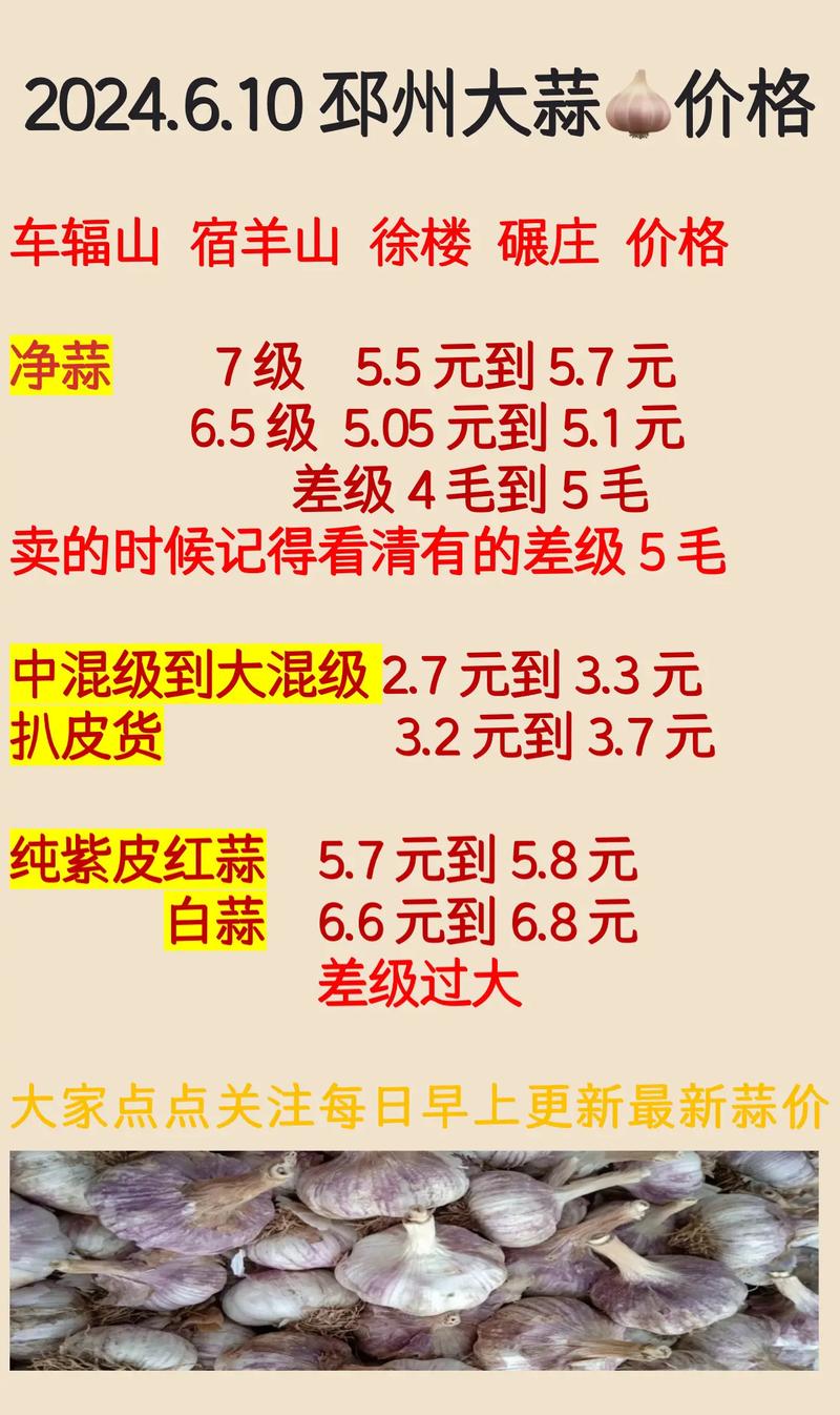 邳州市大蒜行情最新动态，市场趋势与价格分析
