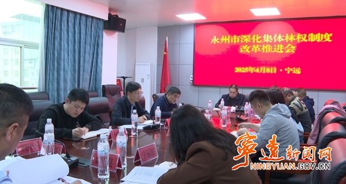 宁远县最新新闻全面解析，多维度观点分析报道