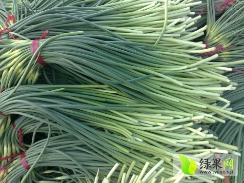 山东金乡蒜苔最新价格揭秘，市场走势与各方观点探讨