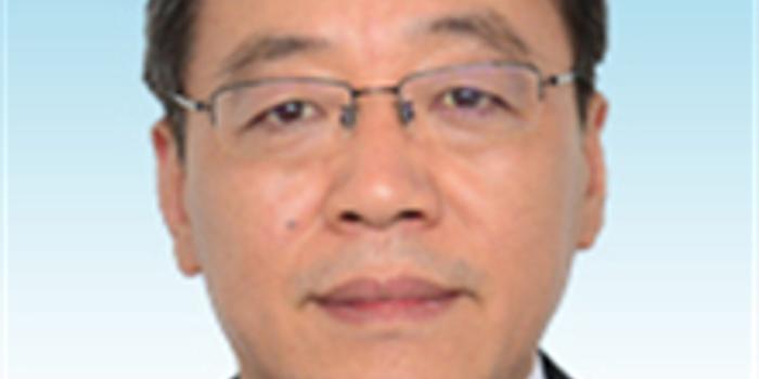 安徽候淅珉最新简历，揭秘日常趣事与友情纽带背后的故事